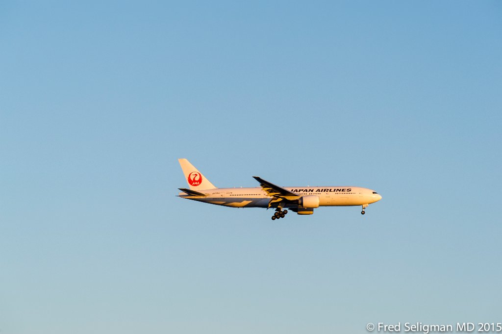 20150311_172800 D3S.jpg - Plane landing at Haneda